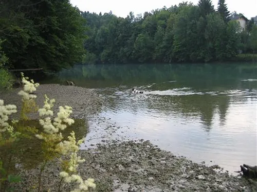 camping-smlednik-smlednik-phjsm