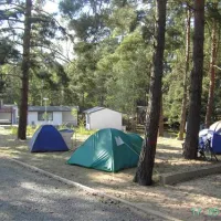 campingplatz-waldbad-zeischa-zeischa-26fa7