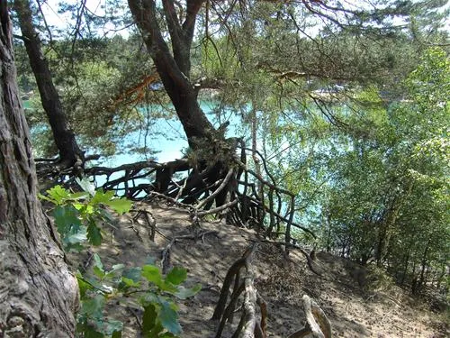 campingplatz-waldbad-zeischa-zeischa-m4aab