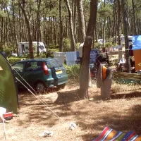 camping-municipal-plage-de-riez-st-hilaire-de-riez-6weid