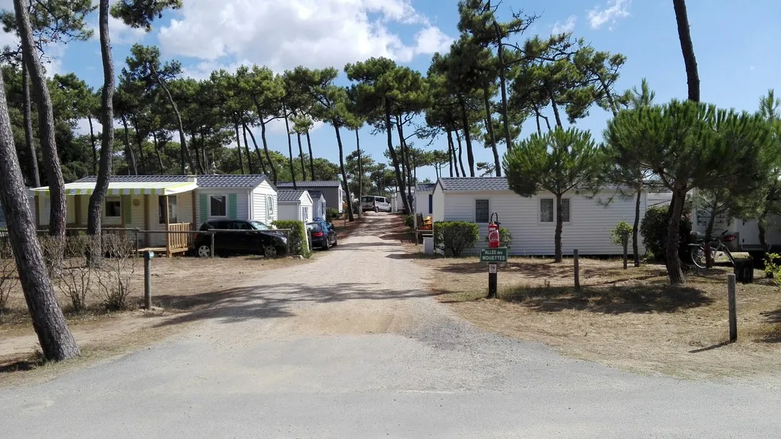 camping-municipal-plage-de-riez-st-hilaire-de-riez-urnxe