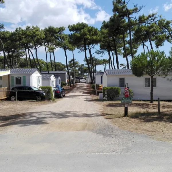 camping-municipal-plage-de-riez-st-hilaire-de-riez-urnxe