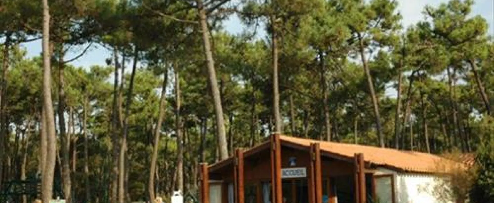 Camping Municipal Plage De Riez
