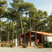 Camping Municipal Plage De Riez