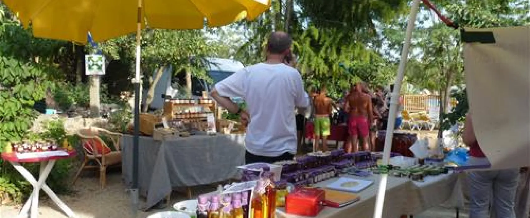 Camping Domaine Du Vernis  
