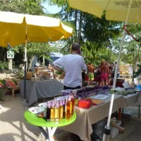 camping-domaine-du-vernis-azillanet-yzfaq