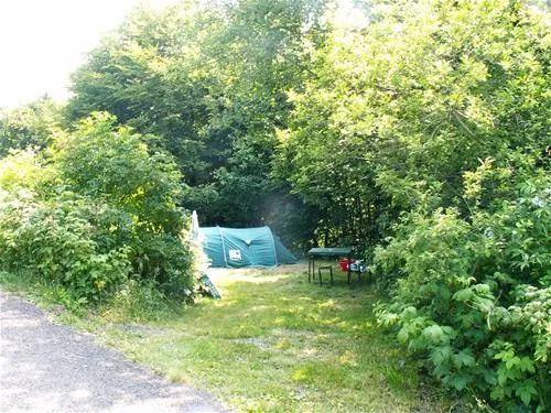 domaine-de-la-grande-cascade-le-mont-dore-syzke