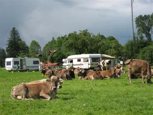 ferienhof-sommer-waltenhofen-en7uv