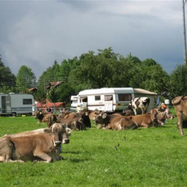 ferienhof-sommer-waltenhofen-en7uv
