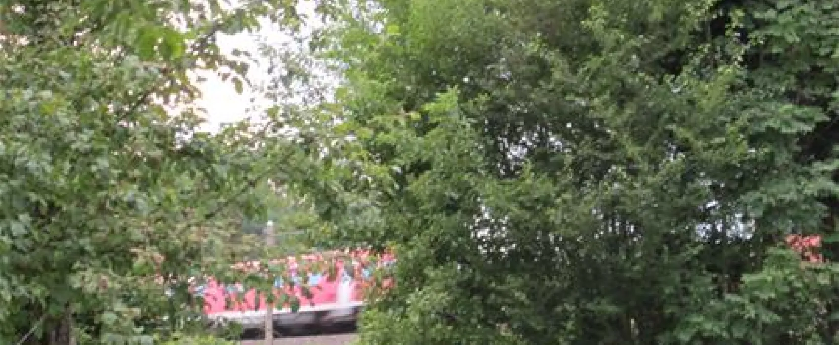 Ferienhof Sommer