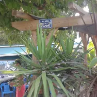 camping-al-sol-argeles-sur-mer-fm1ru