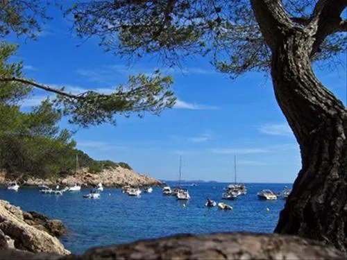 camping-al-sol-argeles-sur-mer-m3fua