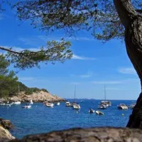 camping-al-sol-argeles-sur-mer-m3fua