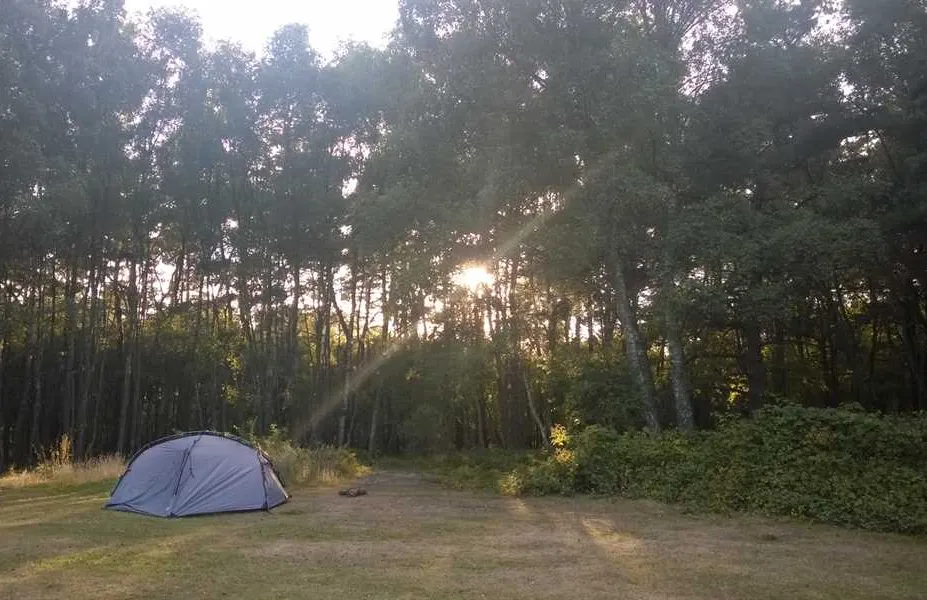 birchwood-tourist-park-wareham-9xmdu
