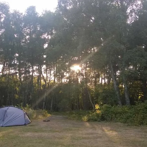 birchwood-tourist-park-wareham-9xmdu