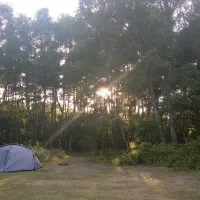 birchwood-tourist-park-wareham-9xmdu