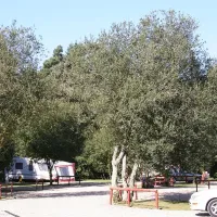 birchwood-tourist-park-wareham-bdrqv