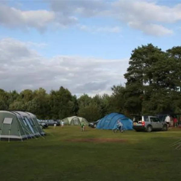 birchwood-tourist-park-wareham-evoqm