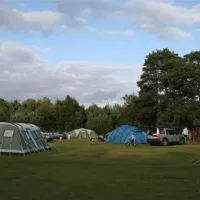 birchwood-tourist-park-wareham-evoqm