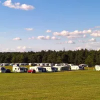 birchwood-tourist-park-wareham-ewybz