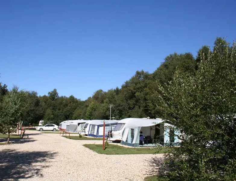 birchwood-tourist-park-wareham-qo3k6