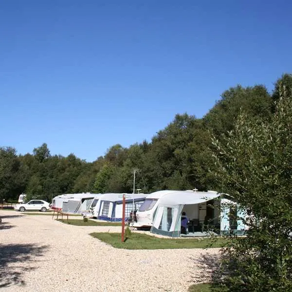 birchwood-tourist-park-wareham-qo3k6