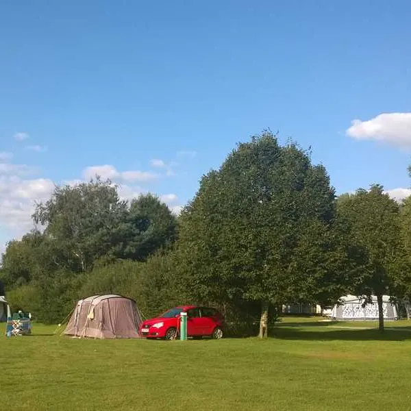 birchwood-tourist-park-wareham-uktx3