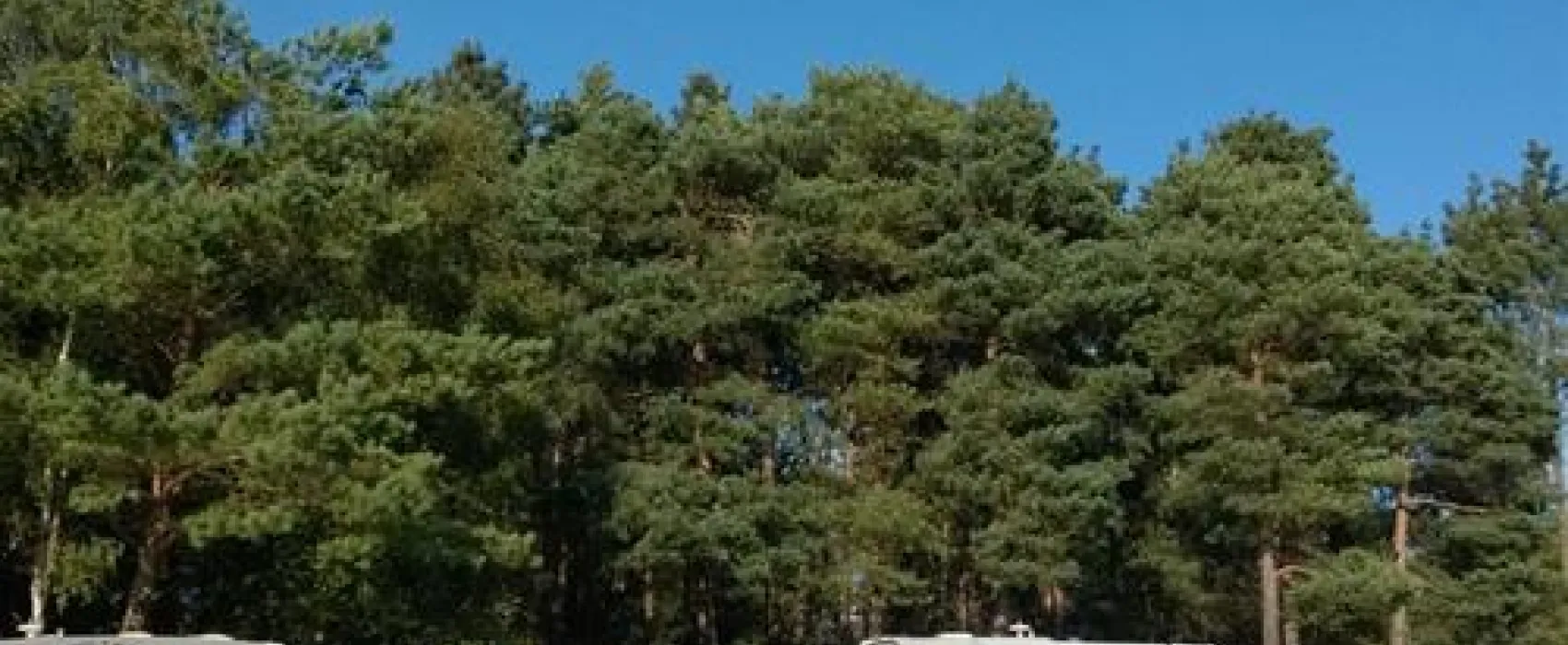 Birchwood Tourist Park