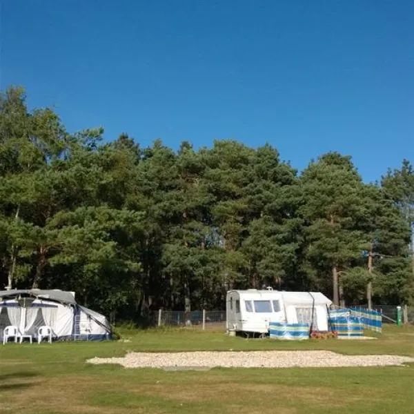 birchwood-tourist-park-wareham-yy7l4