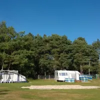 Birchwood Tourist Park