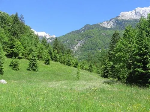 camping-trenta-soa-iarws