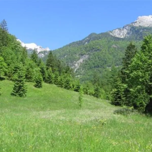 camping-trenta-soa-iarws
