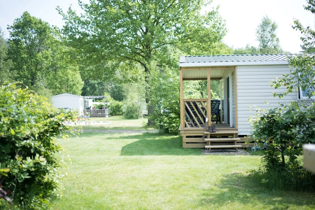 camping-de-berken-gasselte-p6ujl
