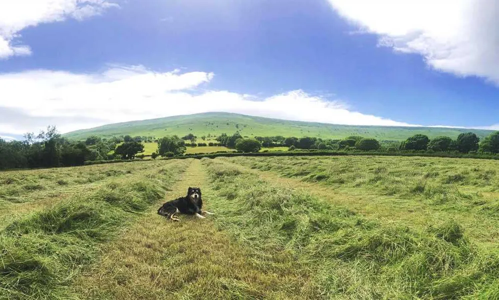 cayo-retreat-hereford-wd8ic