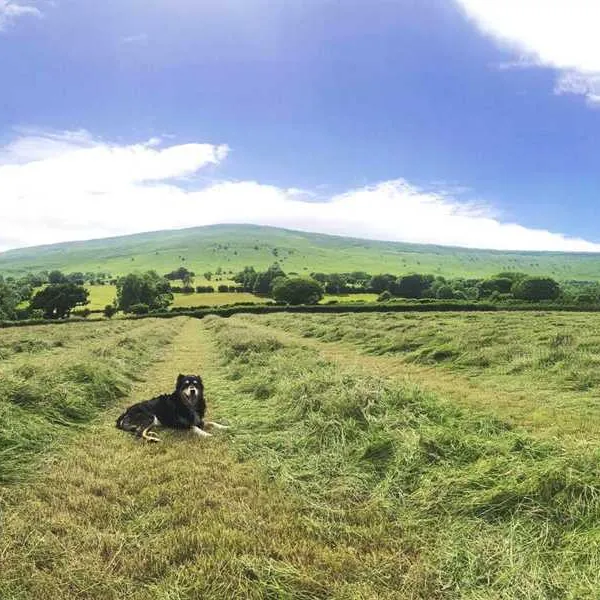 cayo-retreat-hereford-wd8ic