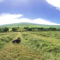 cayo-retreat-hereford-wd8ic