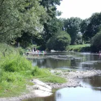 camping-des-2-rives-etang-sur-arroux-0mzks