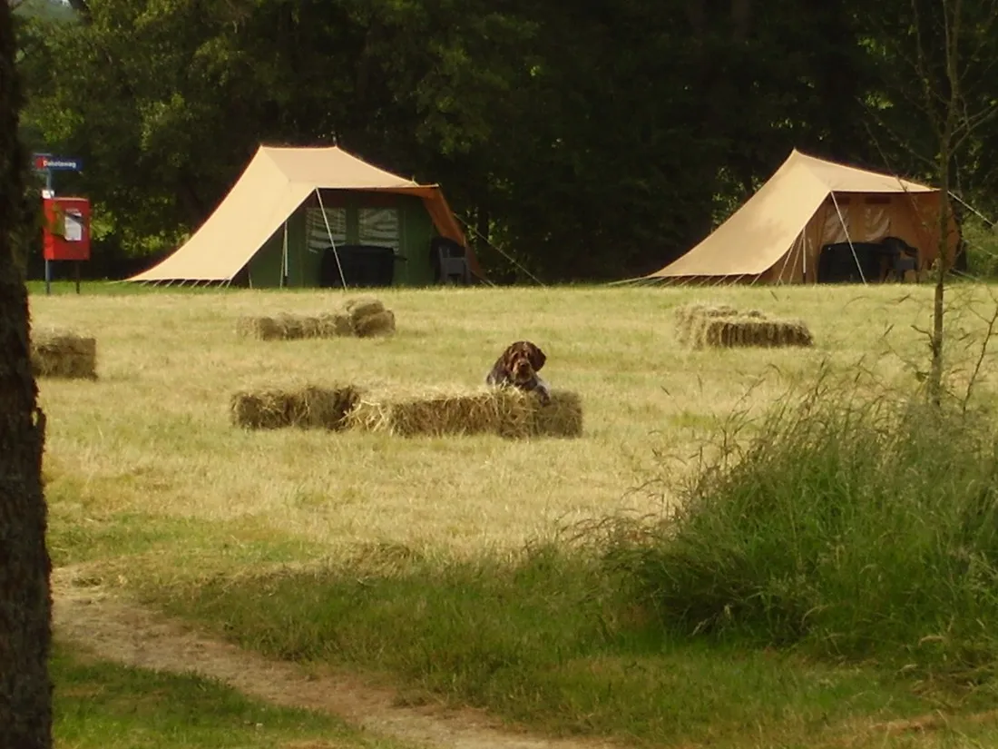 camping-des-2-rives-etang-sur-arroux-qptwk