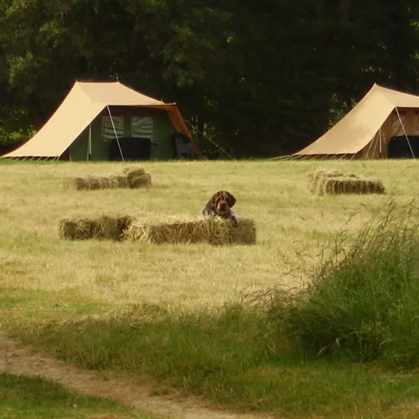 camping-des-2-rives-etang-sur-arroux-qptwk