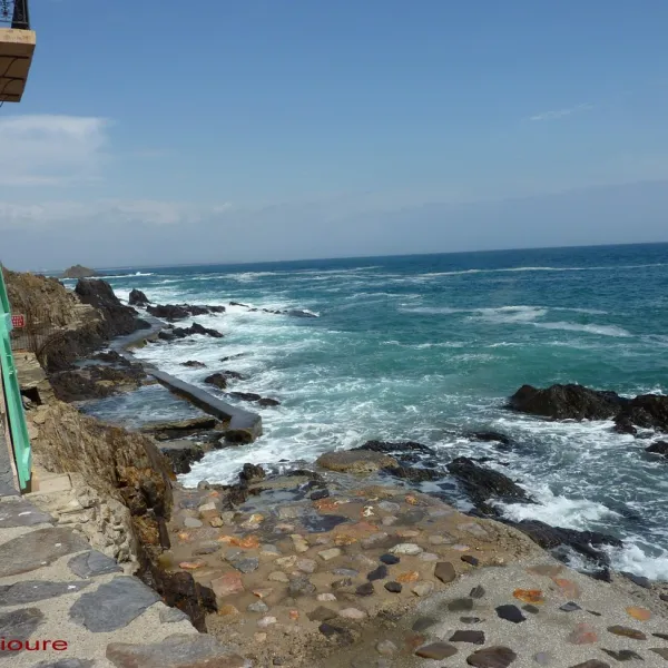 camping-front-de-mer-argeles-plage-liqss