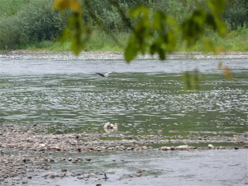 camping-la-riviere-lacave-kpowx