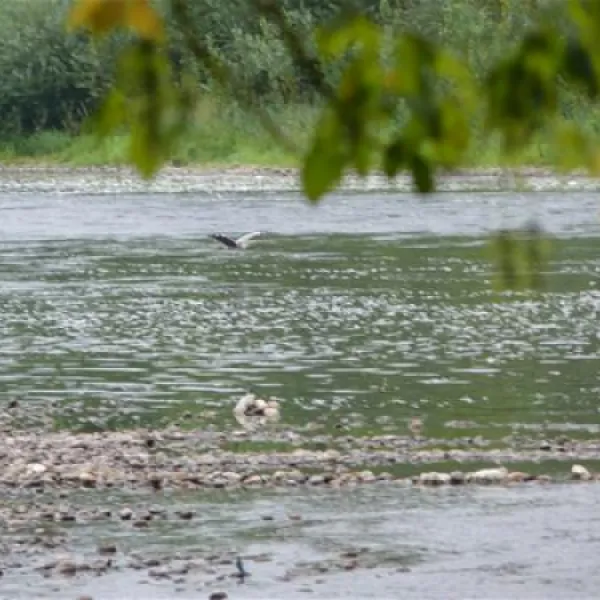camping-la-riviere-lacave-kpowx