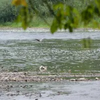 camping-la-riviere-lacave-kpowx