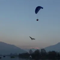campeggio-au-lac-de-como-sorico-cghsg