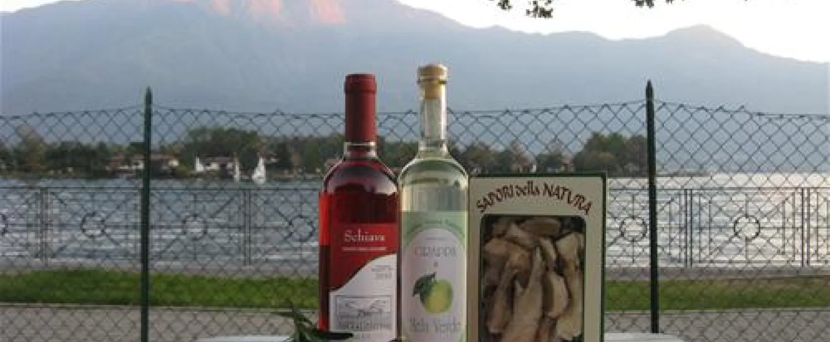 Campeggio Au Lac de Como