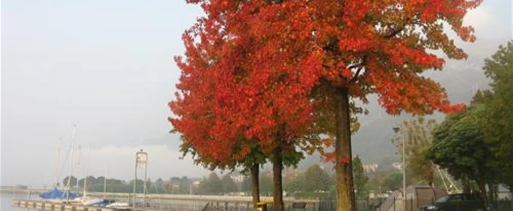 Campeggio Au Lac de Como