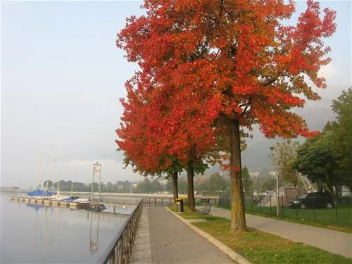 campeggio-au-lac-de-como-sorico-tt4x2