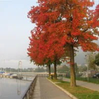 campeggio-au-lac-de-como-sorico-tt4x2