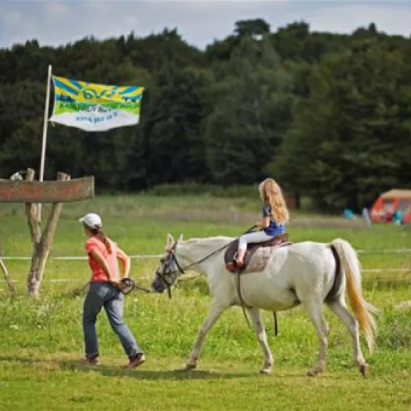 camping-lazy-cerovo-e0983