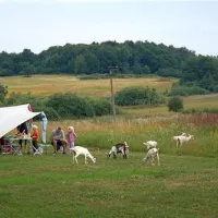 camping-lazy-cerovo-nurob